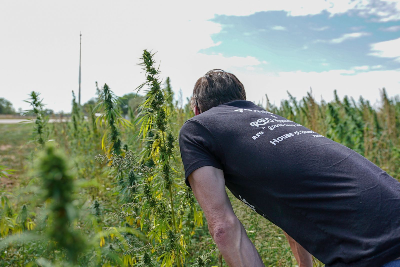The Role Pet Releaf Is Playing in the Evolving CBD Pet Market